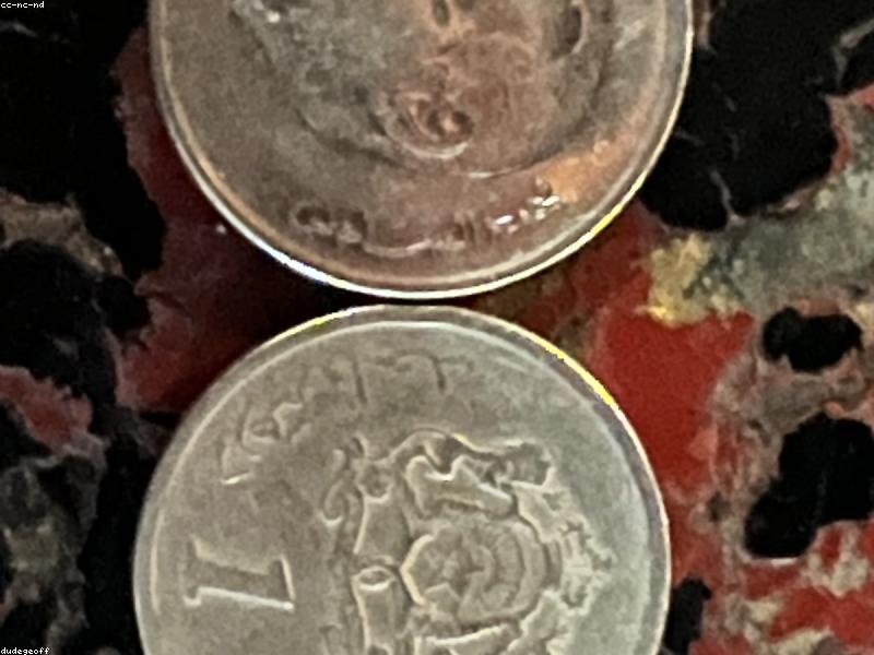 Modèles durables